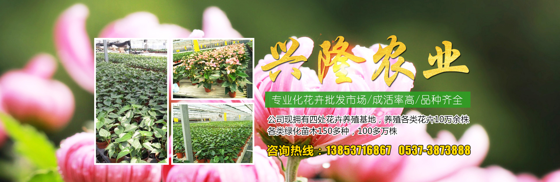 濟寧市眾力礦山設(shè)備制造有限公司